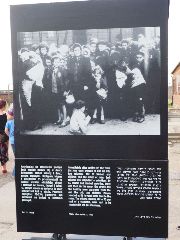 Jews getting off the train's cattle cars