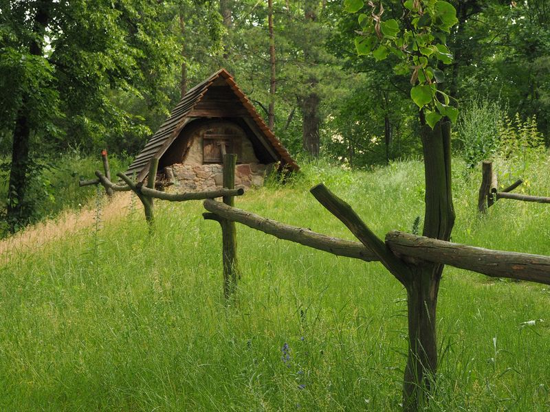 Fence and small outbuilding