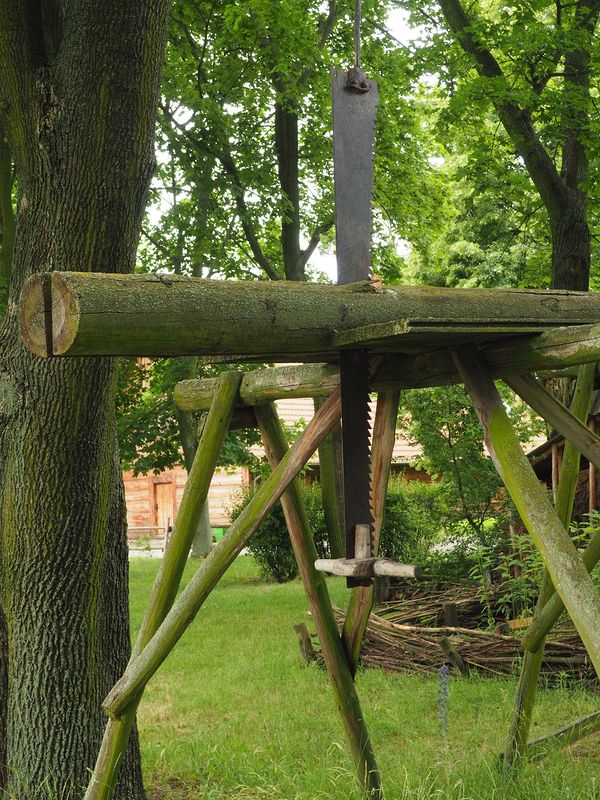 How they sawed planks from logs