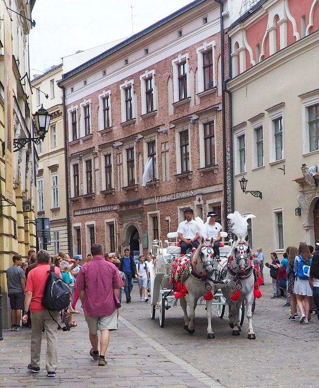 Horsedrawn carriage