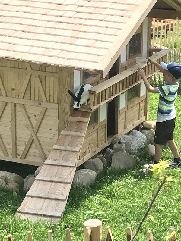 A boy plays with a rabbit