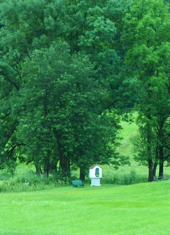 A tiny shrine amongst the trees