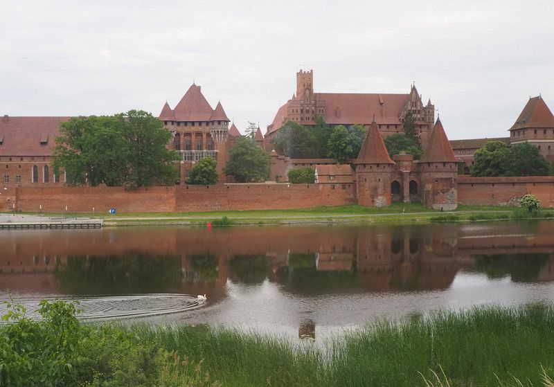 A swan swims past the castle as we leave