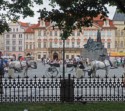 Horse drawn carriages