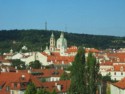 Lots of red roofs