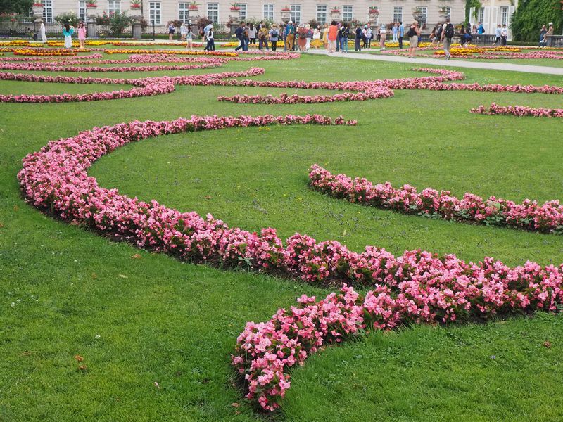 We are back to the Mirabell Gardens