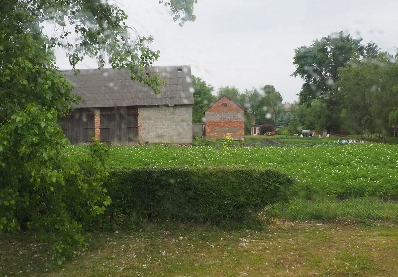 Barns and gardens