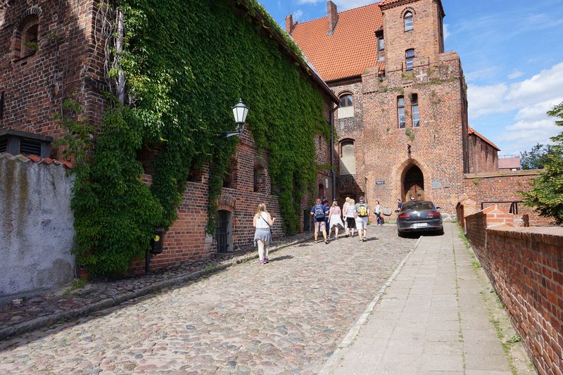 Old ivy covered building