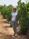 Eloise in the vineyard