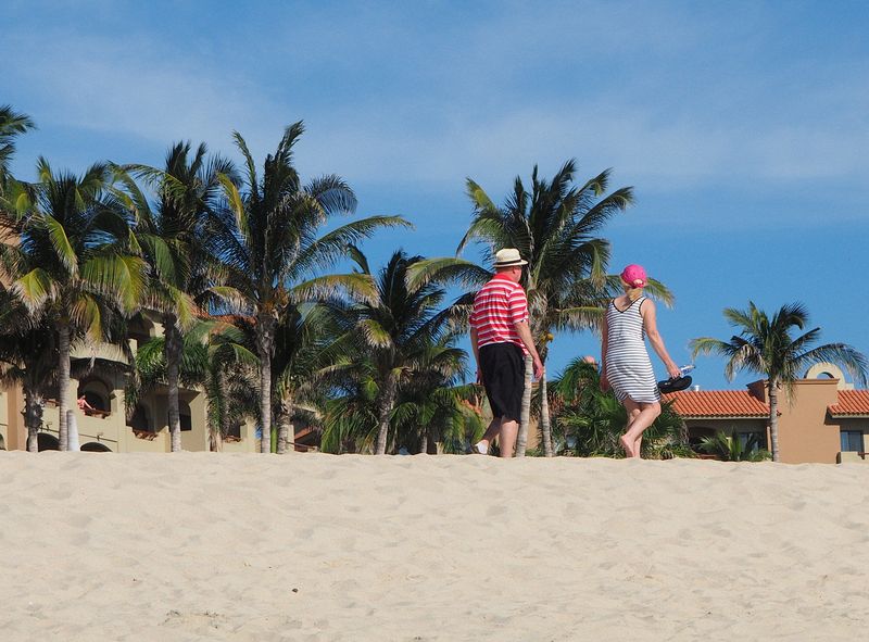 Livingston and Eloise walk in the sand