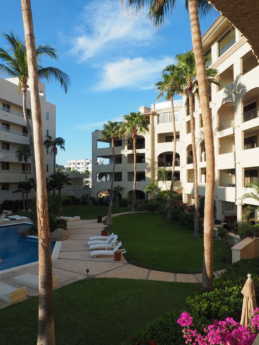 Palm trees in front of the timeshare units