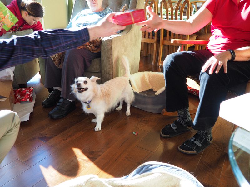 Hazel watches as a present is handed out