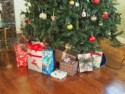 Lots of presents under the tree