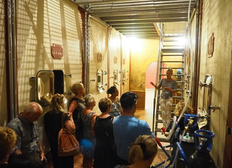 Our guide explains how they make the wine in concrete tanks
