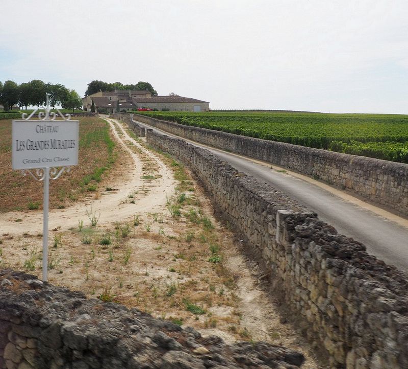 Stone walls line the driveway to Chateau Les Grandes Murailles