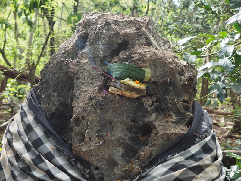 Caterpillars on a sacred rock