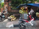 Coconut stand