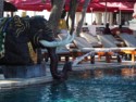 Elephant fountain