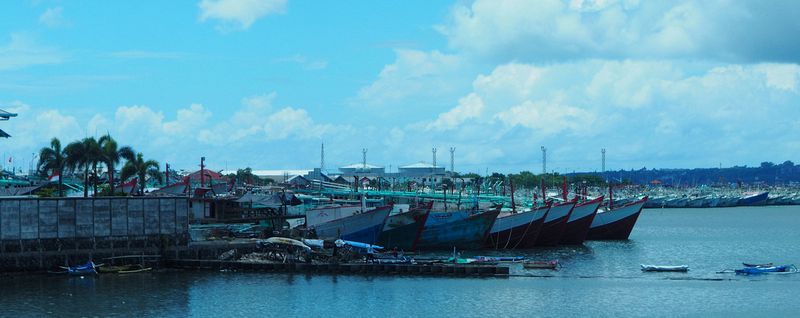 Fishing boats