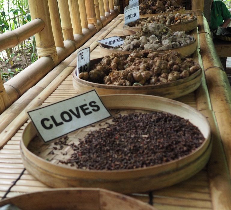 Some of the spices that grow on Bali