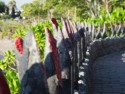 Spikes in a stone wall