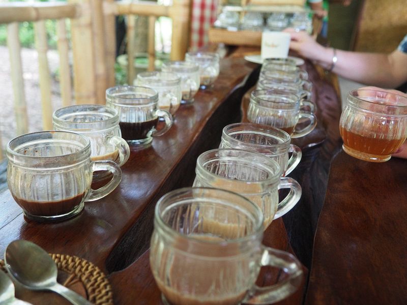 Tea tasting