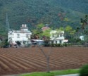 Houses in a farming village