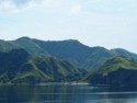 Komodo Island is very green