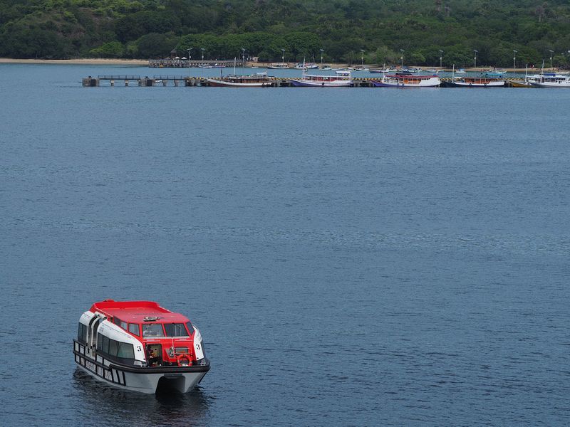 The ship's tenders take us ashore