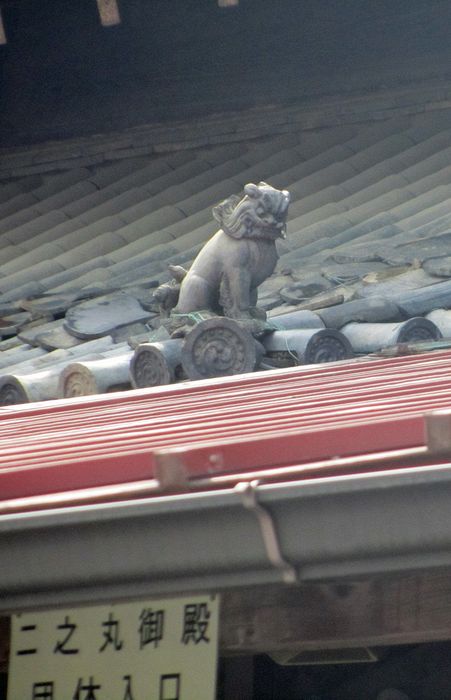 Roof cat