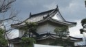 Roof detail of the castle