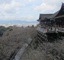 You can see the wooden foundation for the temple from here