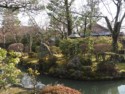 A mossy garden