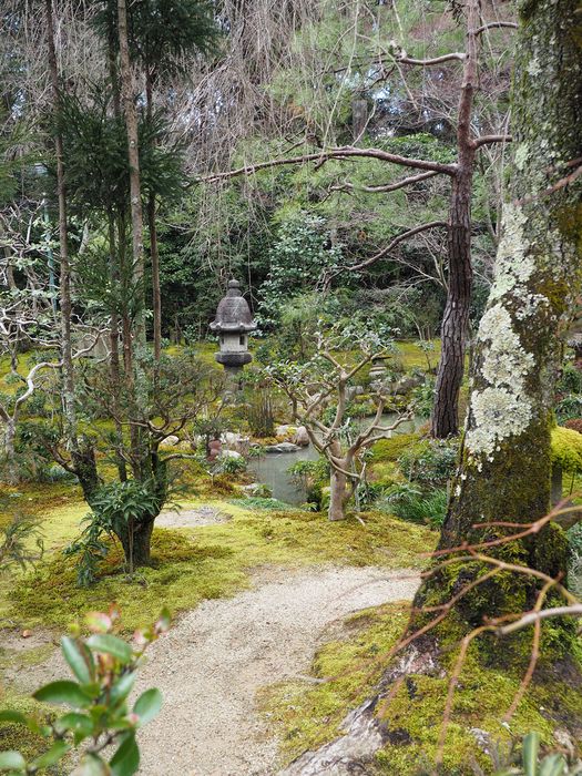 A shrine amongst the mossy grounds