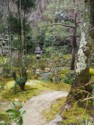 A shrine amongst the mossy grounds