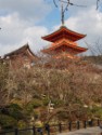 Another view of the three-storied pagoda