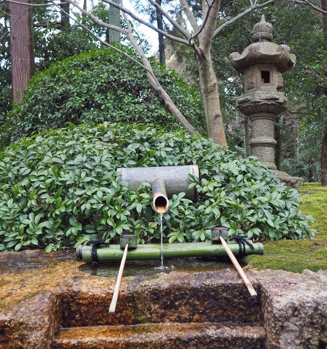 Bamboo spring spout