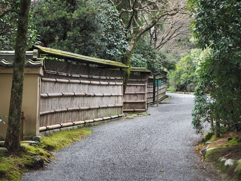 Bamboo walls along the path