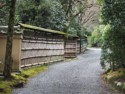 Bamboo walls along the path