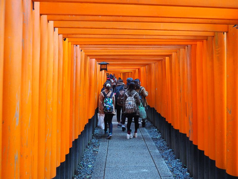 Hundreds of torii