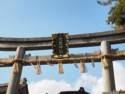 Sheaves of rice on the torii gate