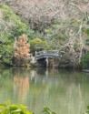 Stone bridge