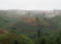 Crops growing on a hillside