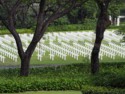 Crosses on graves