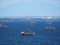 Fishing platforms in Manila Bay