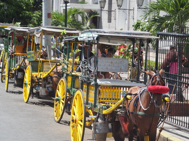 More horse drawn carriages