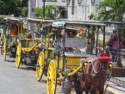 More horse drawn carriages