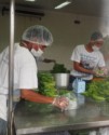 Packaging lettuce for the market