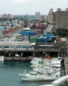 Fishing boats at the docks