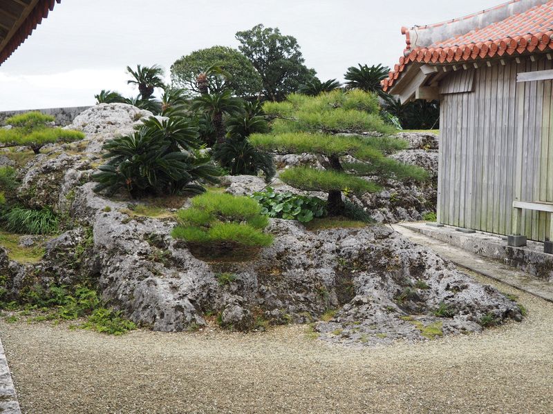 Rocky garden